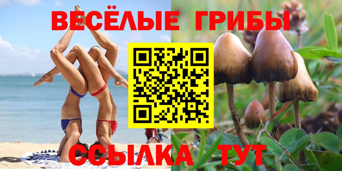 Галлюциногенные грибы прущие грибы  Вход с VPN  Галлюциногенные грибы MAGIC MUSHROOMS  Альметьевск 
