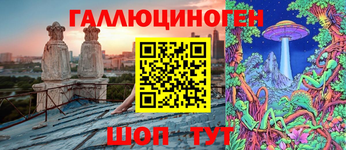 Галлюциногенные грибы Psilocybe Альметьевск